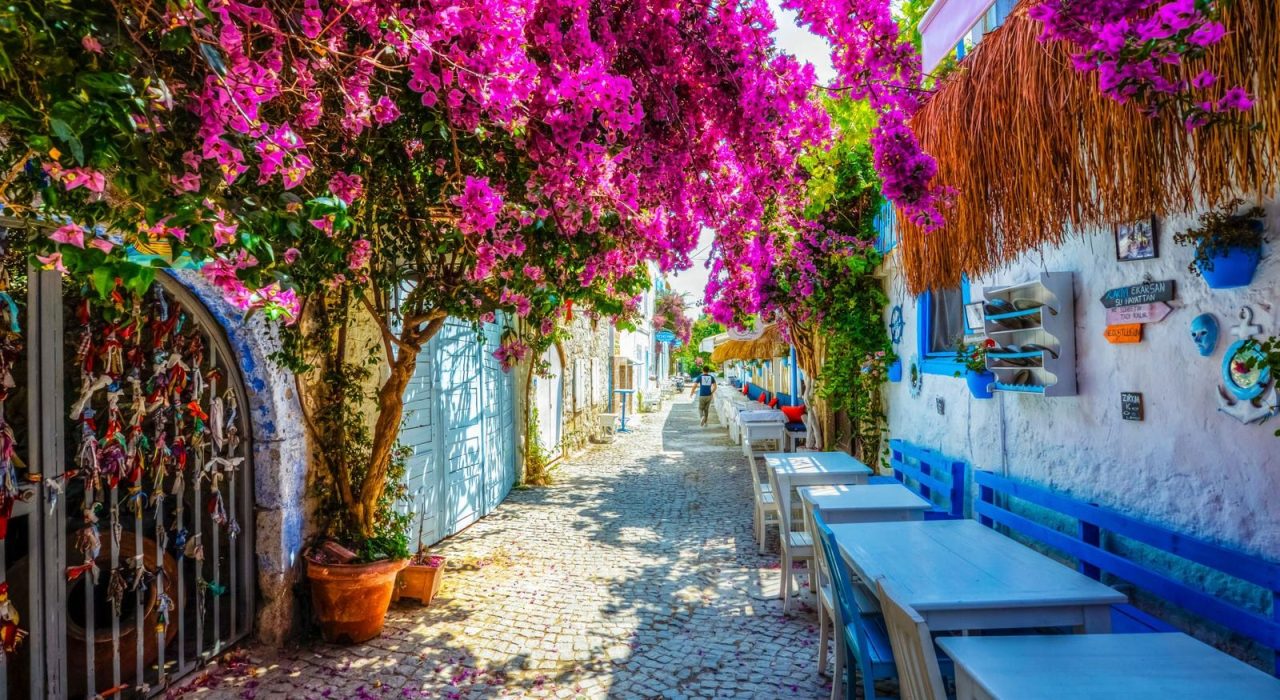 f807eca89b7c5c1482b0a8aec5a4ac94